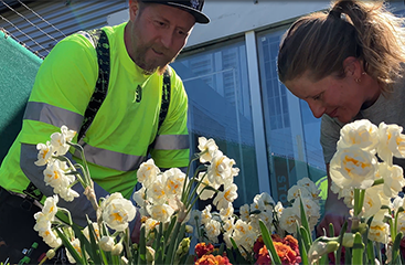 Två trädgårdsarbetare fixar med blommor.