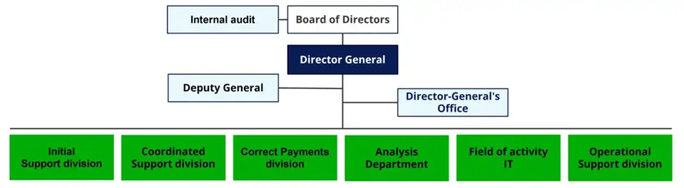 Organisation chart, described in visual description of the organisation chart