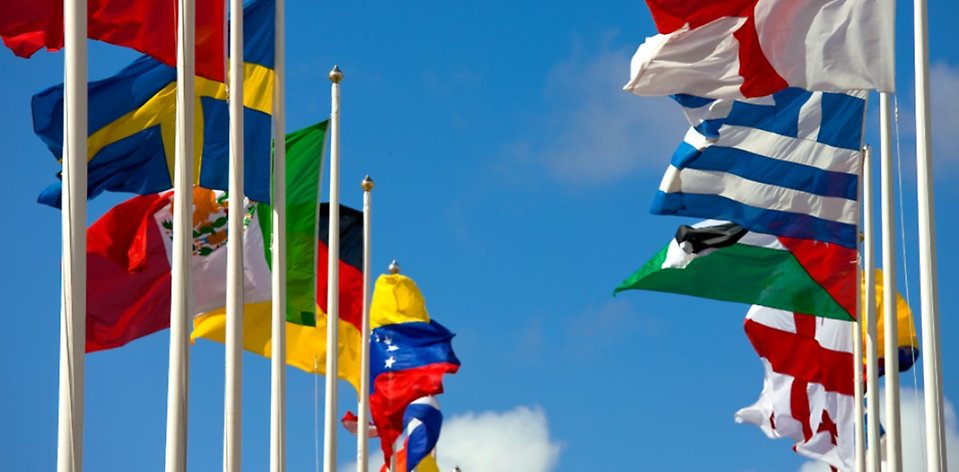 Bild på flaggstångar med flaggor med länder från hela världen.