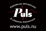 Puls Sverige AB Logo