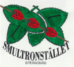 förskolan Smultronstället AB