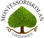 Timvikarier sökes till Montessoriskolan Lindängen