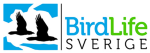Fågelskyddsamordnare med fokus på skog, distansarbete Öland
