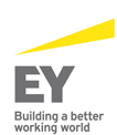 Sustainability consultants for EY, Stockholm