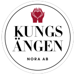 Boedestödjare till Bergsängs gruppbostad, Nora,  80% tillsvidaretjänst