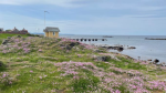 Torekov Turistbyrå