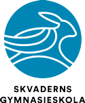 Elevassistent 35 timmar/vecka  Skvaderns gymnasieskola