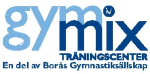 GYMMIX TRÄNINGSCENTER I BORÅS AB