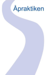 Åpraktiken AB Logo