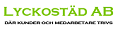Lyckostäd i Stockholm AB
