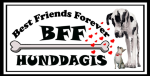 BFF Hunddagis