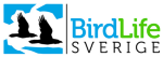 BirdLife Sverige kansli + distans