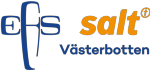 Musiker 80100%