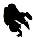 Renässans Akademin Ekonomisk Fören