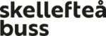 Skellefteå buss AB